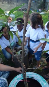 Eco Rede Tree Planting in 2014
