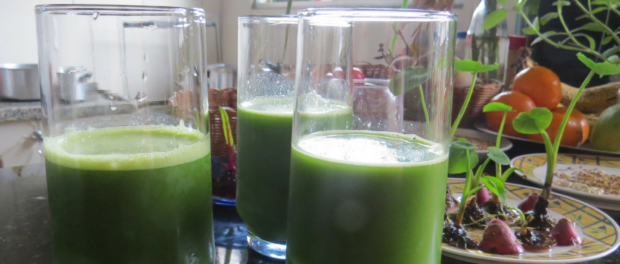 Green juice prepared by Graça, organic chef in Vidigal