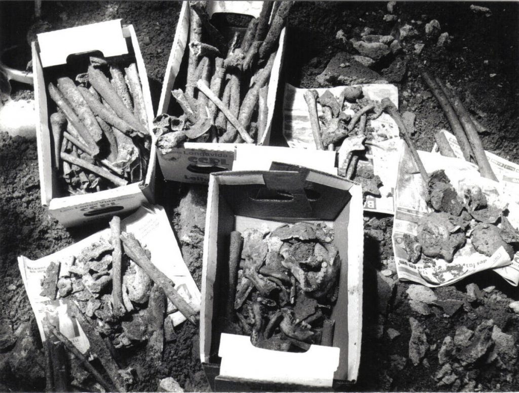 Bones unearthed by archaeologists at the New Blacks Institute