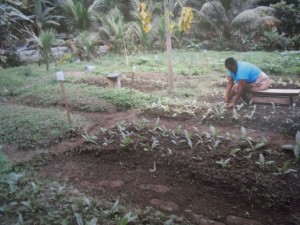 Dona Rita working in the garden