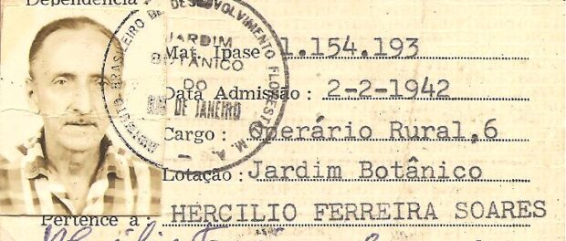 Documents prove the community's history. Image: Museu do Horto