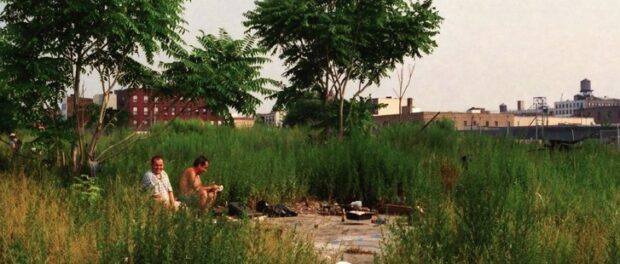 The Accidental Playground's homeless