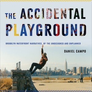 The Accidental Playground by Daniel Campo