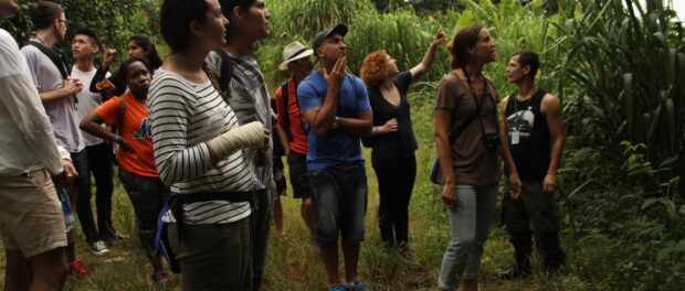 Eco walk through Vale Encantado's surrounding forest.