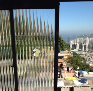 The bullet that hit a young boy in Rocinha came in through his window.