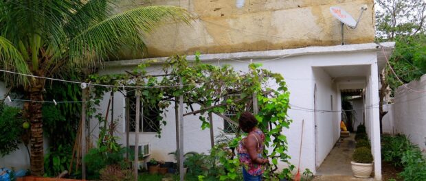 Heloisa Helena tends to her herb garden, where she cultivates sacred species indispensable for Candombé rituals