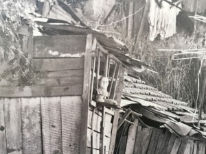 Favela do Tuiuti, with President Getúlio Vargas' bust in a window