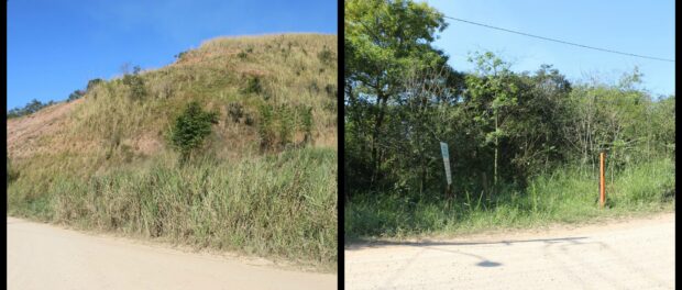 Reforestation Before/After Reforestation Before/After