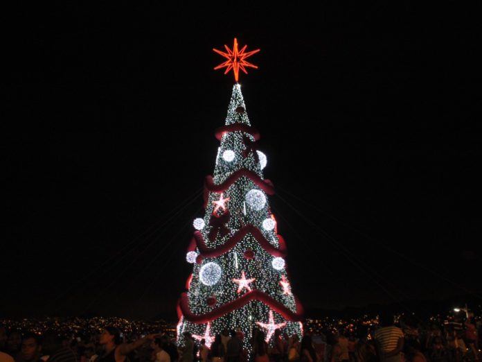 Christmas tree in Complexo do Alemão