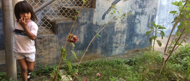 There is not much public green space in the community of Providência. The small garden at the Tia Dora daycare is highly appreciated. 
