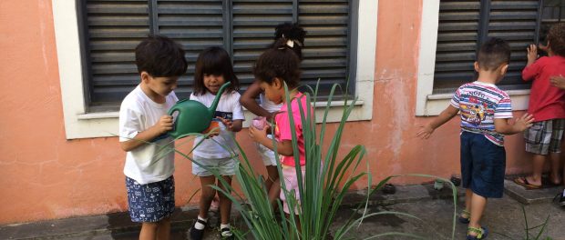 Today's final lesson: watering plants