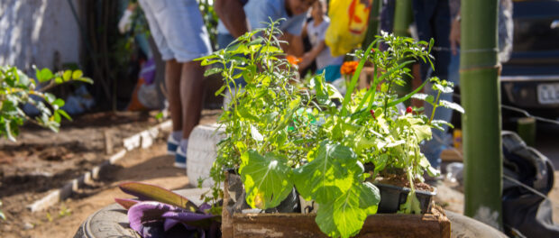 Planting Seedlings - Photo by Diogo de la Vega