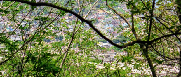 View of nearby North Zone neighborhoods from the Serra da Misericórdia.